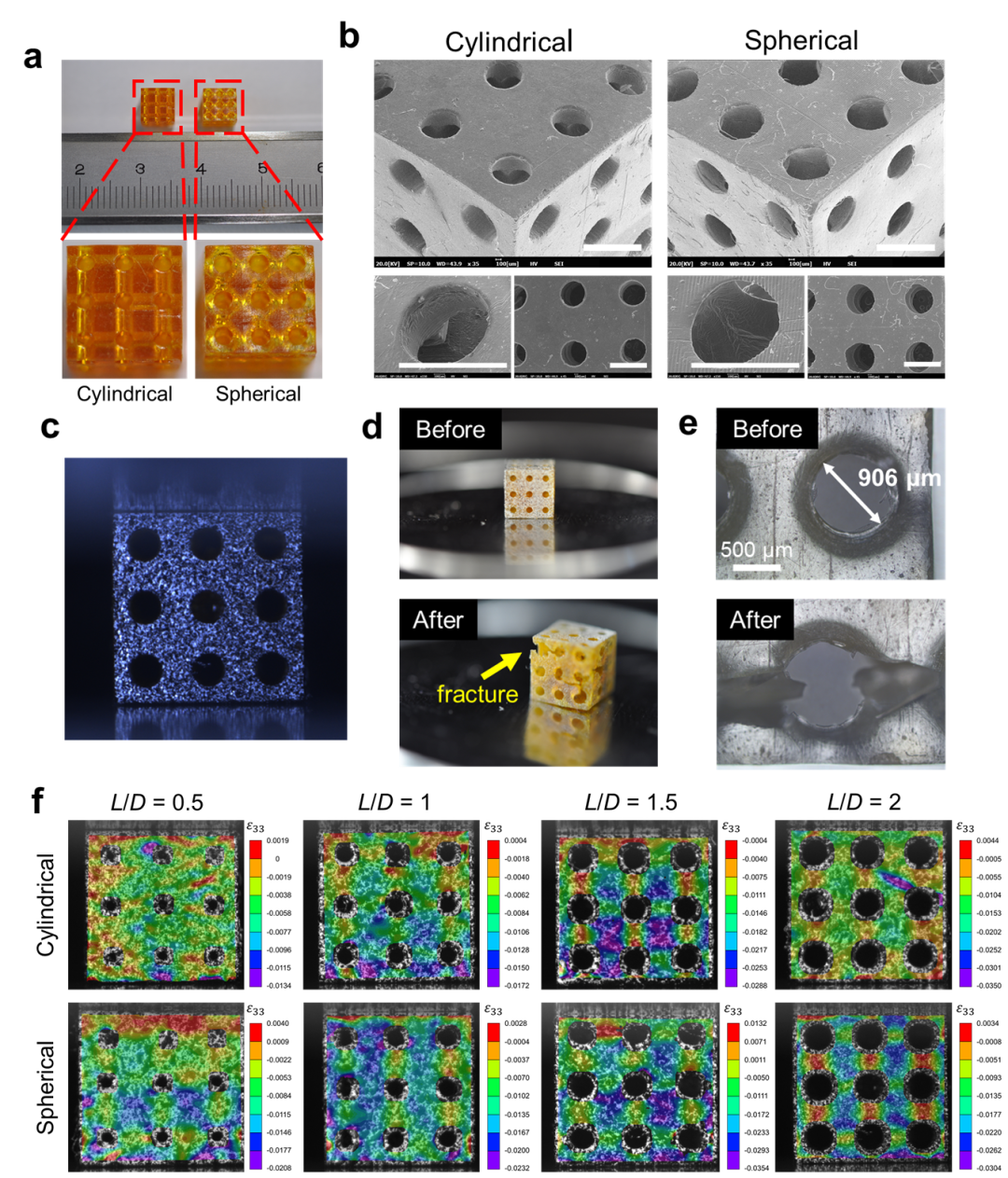 中山大学王山峰教授团队《Mater. Design》:圆柱形和球形模型在骨组织工程支架设计中的对比研究的图2